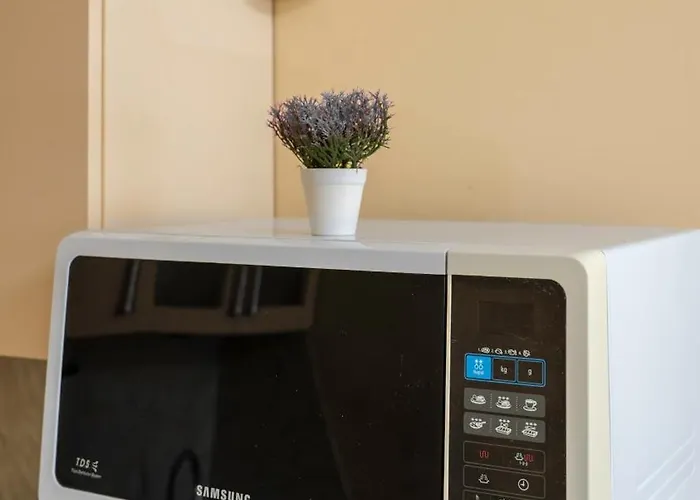 превъзходен къщата на мечтите-златни пясъци на първа линия 公寓 *